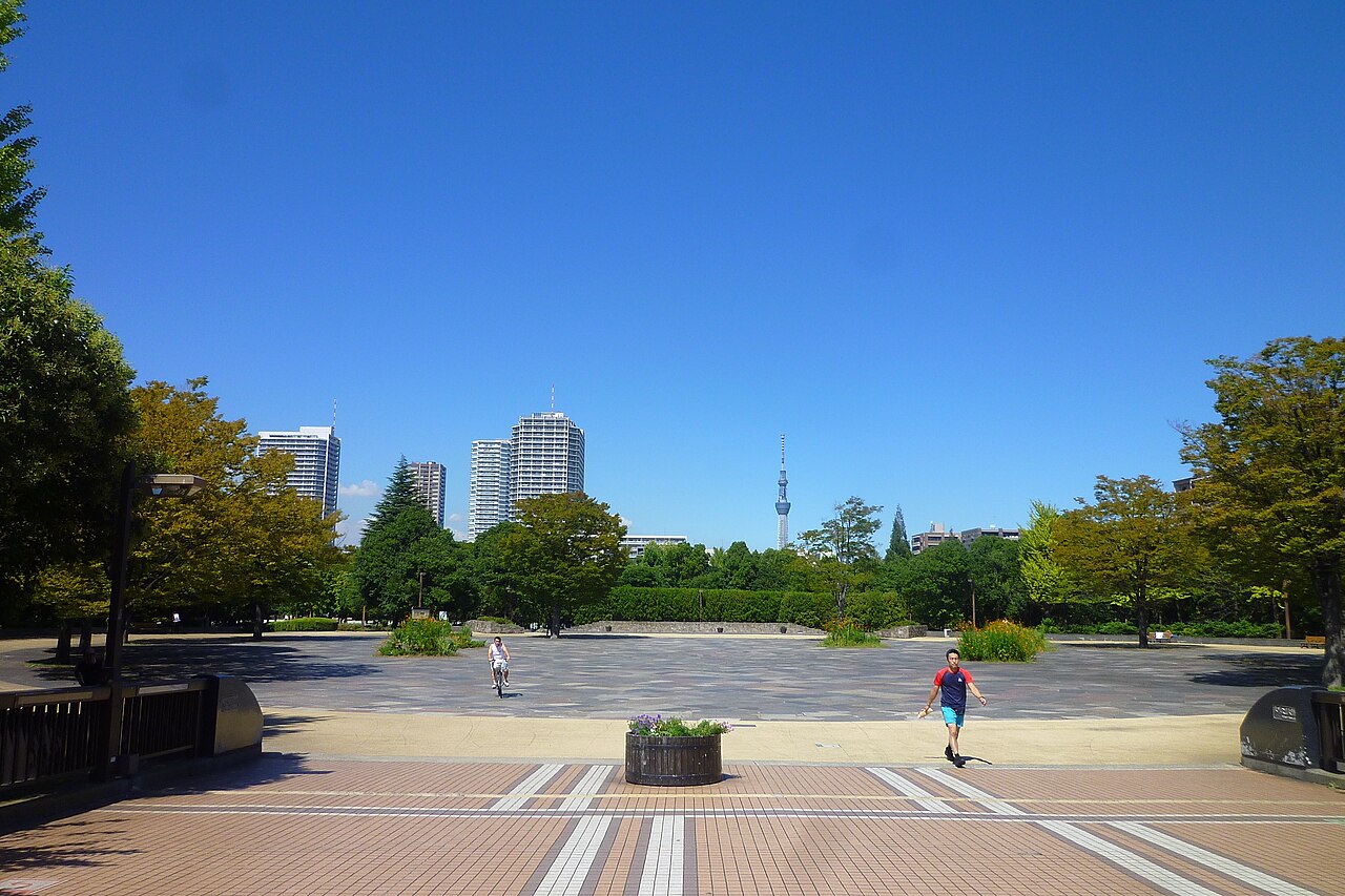木場公園から望む東京スカイツリー